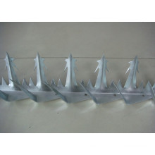 Hot Sale and Popular Wall Spike Security